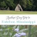 Another Day Trip to Natchez, Mississippi; The Donut Shop, Grand Village of the Natchez Indians and Steampunk Coffee Roasters | mybigfathappylife.com