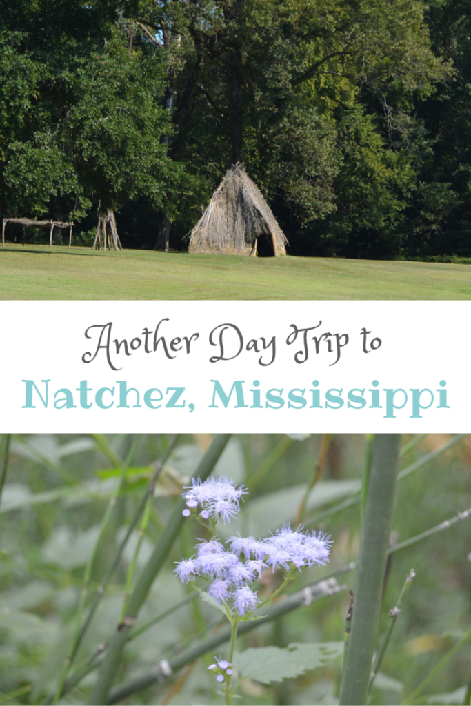 Another Day Trip to Natchez, Mississippi; The Donut Shop, Grand Village of the Natchez Indians and Steampunk Coffee Roasters | mybigfathappylife.com