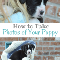 How to Take Photos of Your Puppy; Tips for Taking Photos of Your Puppy | mybigfathappylife.com