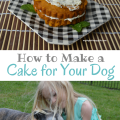 How to Make a Cake for Your Dog | mybigfathappylife.com