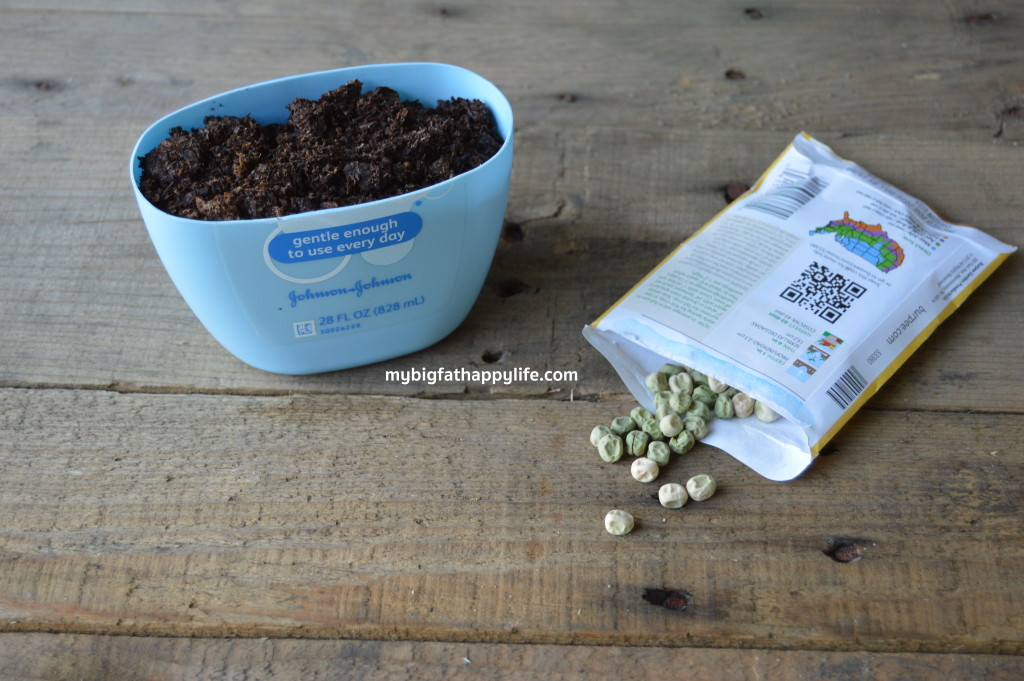 How to Make Seed Starters for a garden by Recycling with Johnson & Johnson's Care to Recycle Program #ad #caretorecycle | mybigfathappylife.com