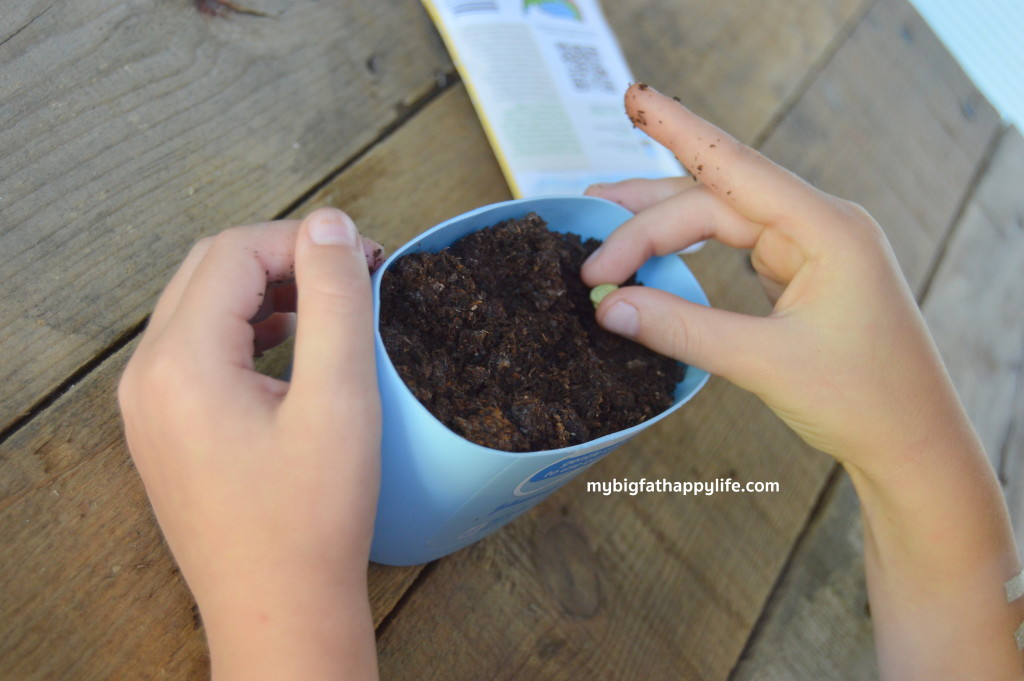 How to Make Seed Starters for a garden by Recycling with Johnson & Johnson's Care to Recycle Program #ad #caretorecycle | mybigfathappylife.com