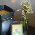 Remembering Your Disney World Trip with Pixie Scent Wax Tart