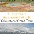 7 Tips for a Summer Trip to Yellowstone and Grand Teton National Park | mybigfathappylife.com