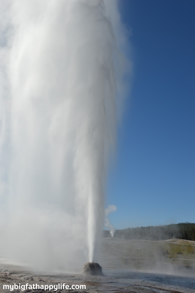 Top 10 Things to Do at Yellowstone National Park | mybigfathappylife.com