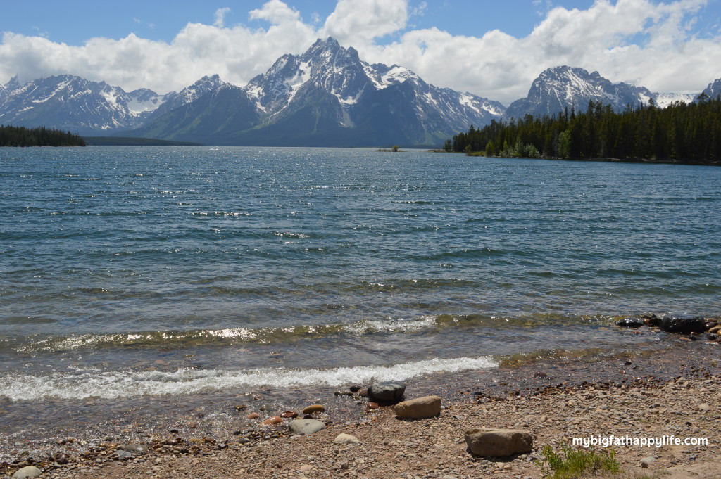 Top 6 Things to Do in Grand Teton National Park | mybigfathappylife.com