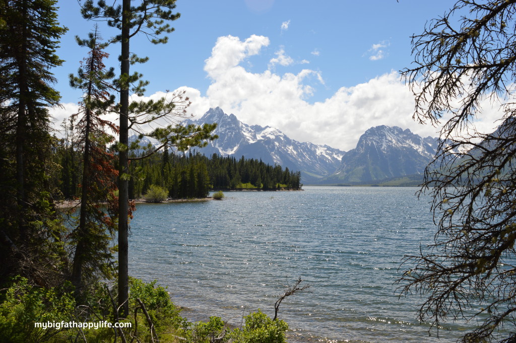 Top 6 Things to Do in Grand Teton National Park | mybigfathappylife.com