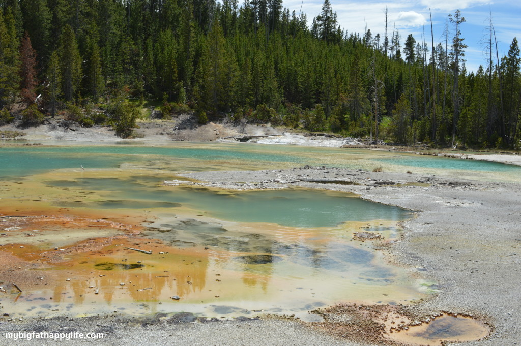 Top 10 Things to Do at Yellowstone National Park | mybigfathappylife.com