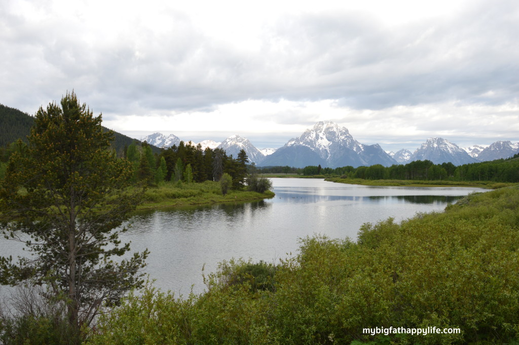 Top 6 Things to Do in Grand Teton National Park | mybigfathappylife.com