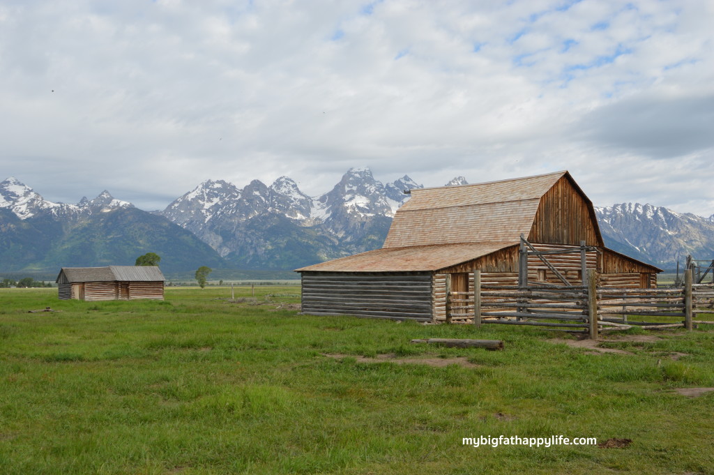 Top 6 Things to Do in Grand Teton National Park | mybigfathappylife.com