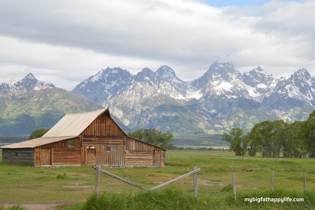 Top 6 Things to Do in Grand Teton National Park | mybigfathappylife.com