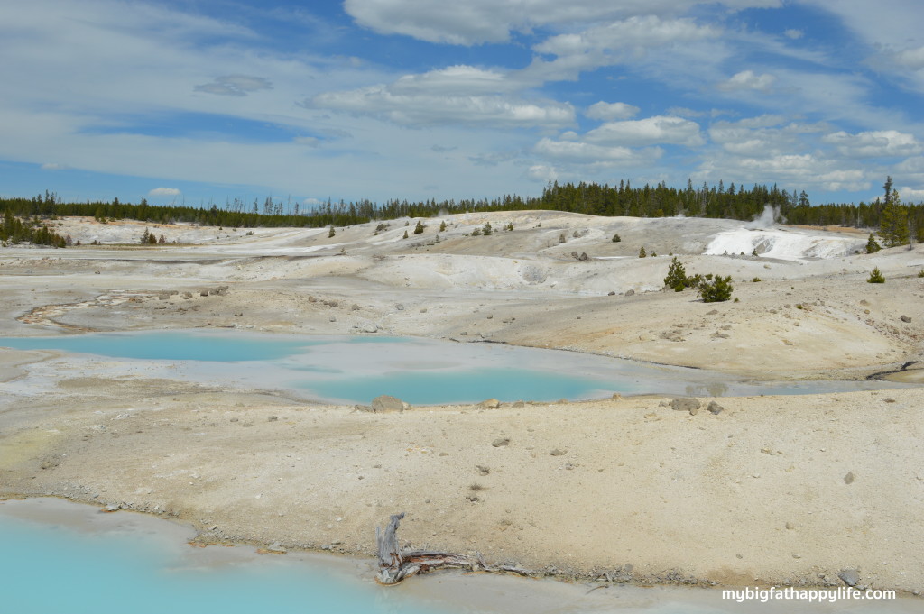 Top 10 Things to Do at Yellowstone National Park | mybigfathappylife.com