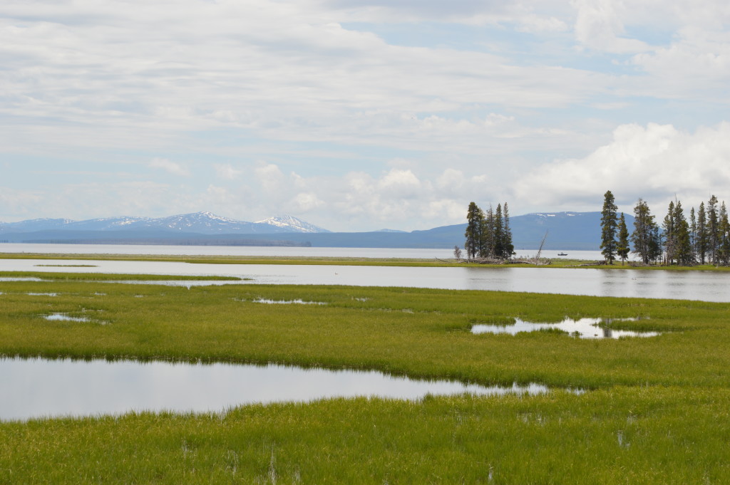 Top 10 Things to Do at Yellowstone National Park | mybigfathappylife.com