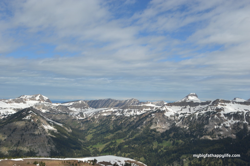 Top 6 Things to Do in Grand Teton National Park | mybigfathappylife.com