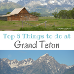 Top 6 Things to Do in Grand Teton National Park | mybigfathappylife.com