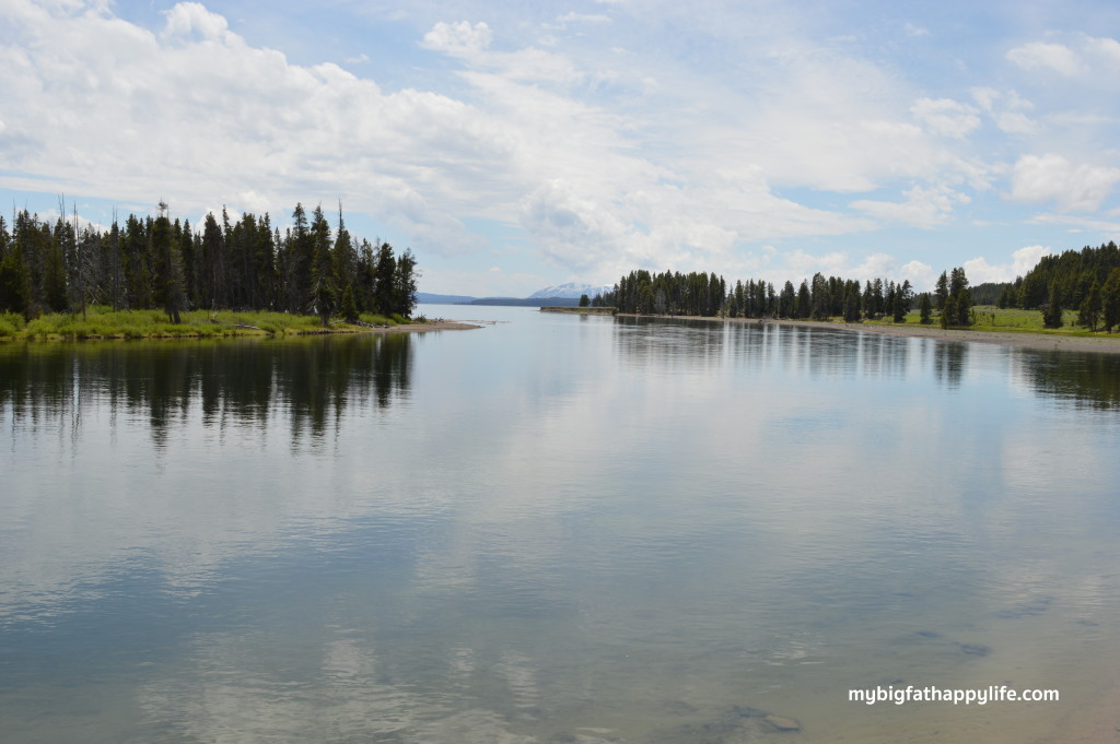 7 Tips for a Summer Trip to Yellowstone and Grand Teton National Park | mybigfathappylife.com