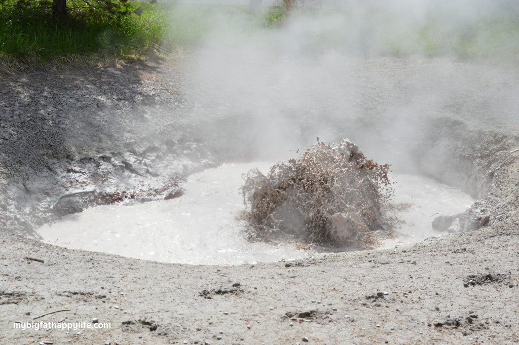 7 Tips for a Summer Trip to Yellowstone and Grand Teton National Park | mybigfathappylife.com