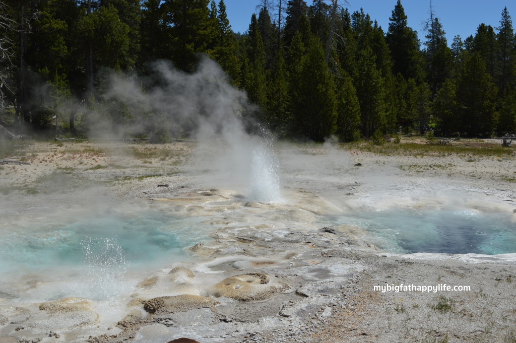 7 Tips for a Summer Trip to Yellowstone and Grand Teton National Park | mybigfathappylife.com