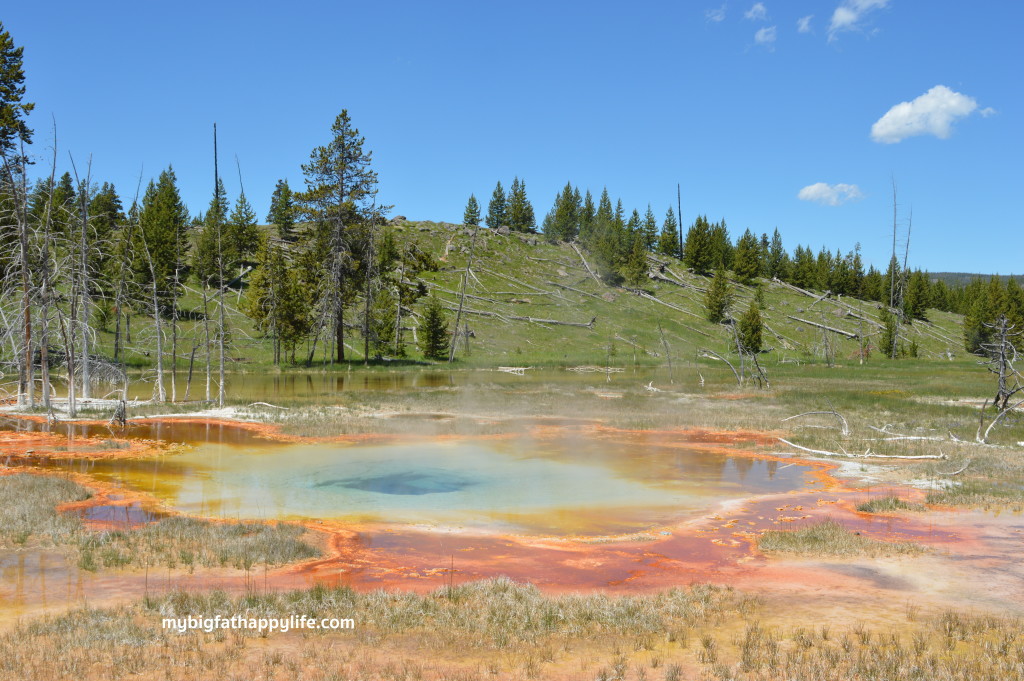 7 Tips for a Summer Trip to Yellowstone and Grand Teton National Park | mybigfathappylife.com