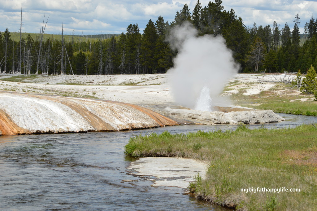 7 Tips for a Summer Trip to Yellowstone and Grand Teton National Park | mybigfathappylife.com