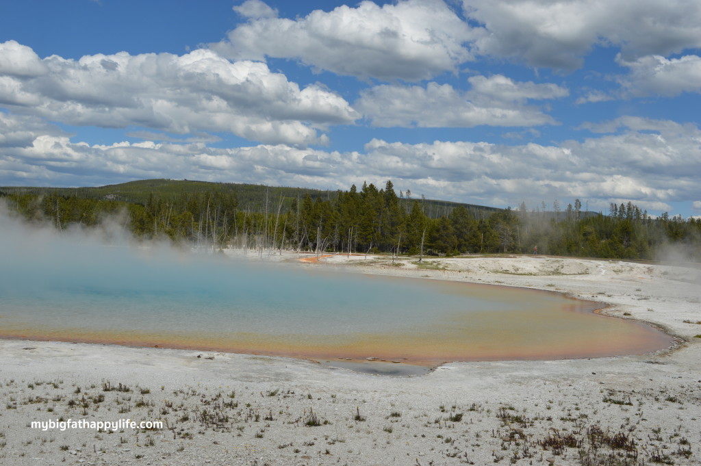 7 Tips for a Summer Trip to Yellowstone and Grand Teton National Park | mybigfathappylife.com