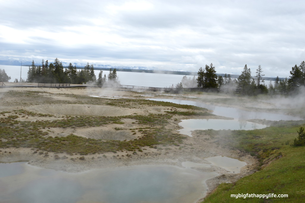 7 Tips for a Summer Trip to Yellowstone and Grand Teton National Park | mybigfathappylife.com