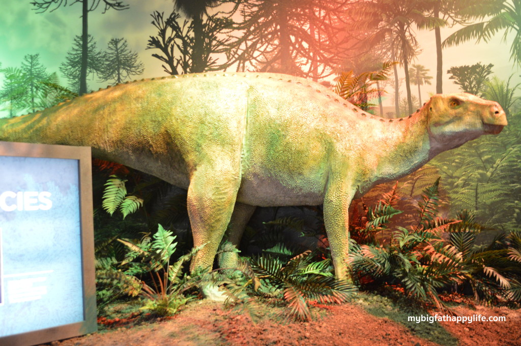 36 Hours in Manitou Springs, Colorado - From Red Rocks to Dinosaurs: One Perfect Day in Manitou Springs, Colorado for the whole family, see what I think is the perfect agenda. | mybigfathappylife.com