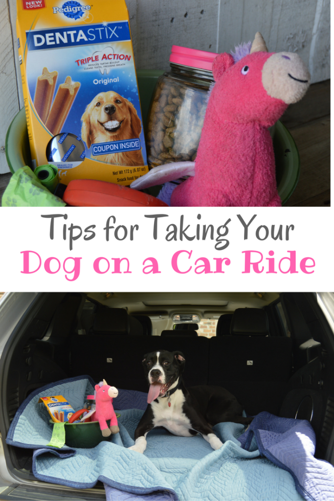 Tips for Taking Your Dog on Car Ride #ad | mybigfathappylife.com