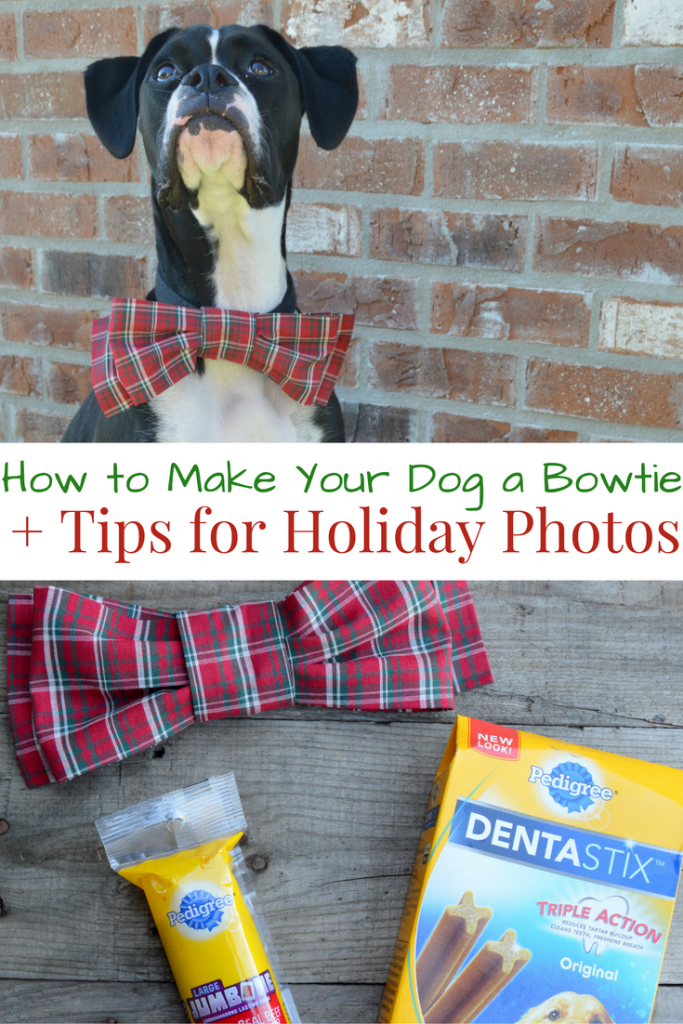 How to Make Bowtie for Your Dog + Tips for Holiday Photos #PAWsomeGifts #ClausAndPaws (ad) | mybigfathappylife.com