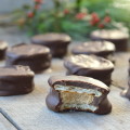 Chocolate Covered Peanut Butter Cookies | mybigfathappylife.com