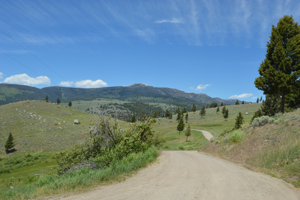 Horseback Riding / Trail Riding near Yellowstone National Park in Gardiner, MT | mybigfathappylife.com