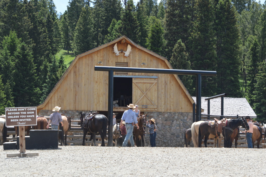 Horseback Riding / Trail Riding near Yellowstone National Park in Gardiner, MT | mybigfathappylife.com