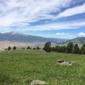 Horseback Riding / Trail Riding near Yellowstone National Park in Gardiner, MT | mybigfathappylife.com