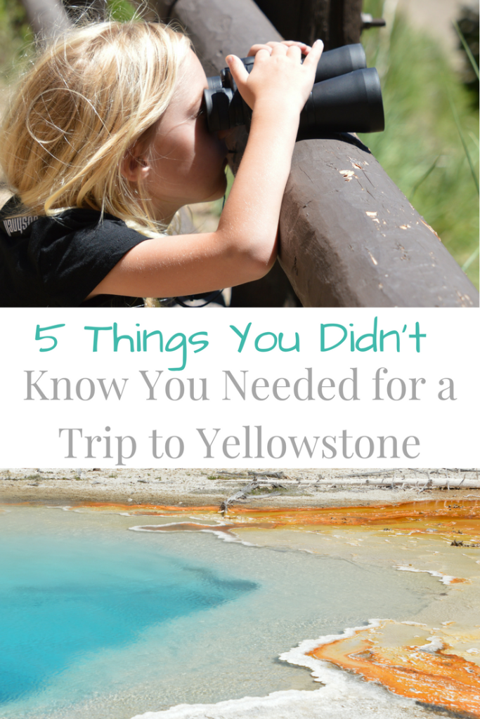 5 Things You Didn T Know You Needed For A Trip To Yellowstone My Big Fat Happy Life