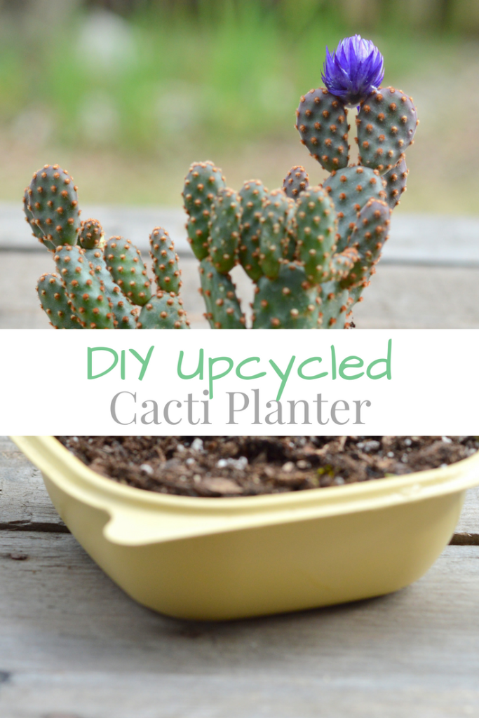 DIY Upcycle Cactus Planter #ChickfilAMoms #ChickfilAMomsDIY #ad | mybigfathappylife.com
