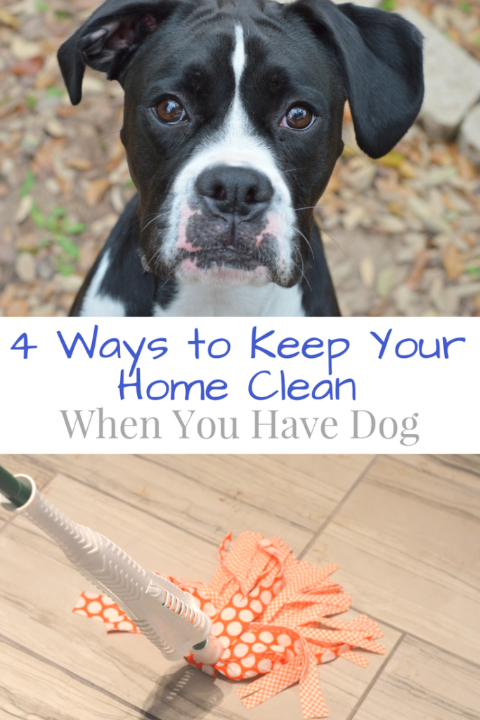 4 Ways to Keep Your Home Clean When You Have Dog #LibmanSpringCleaning #ad | mybigfathappylife.com