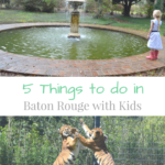 5 Things to Do in Baton Rouge, Louisiana with Kids | mybigfathappylife.com