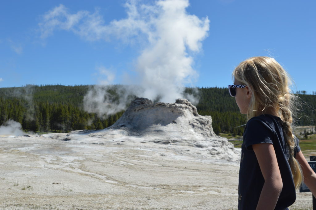 Castle Geyser Old Faithful Yellowstone National Park