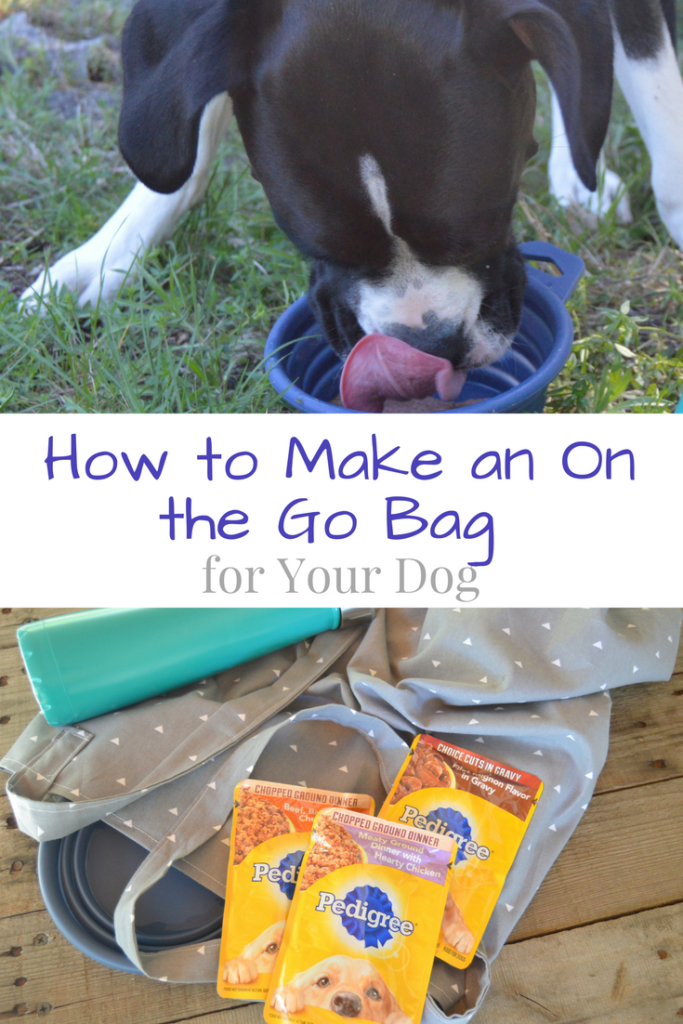 How to Make an On the Go Bag for Your Dog #PedigreeMoment #ad | mybigfathappylife.com