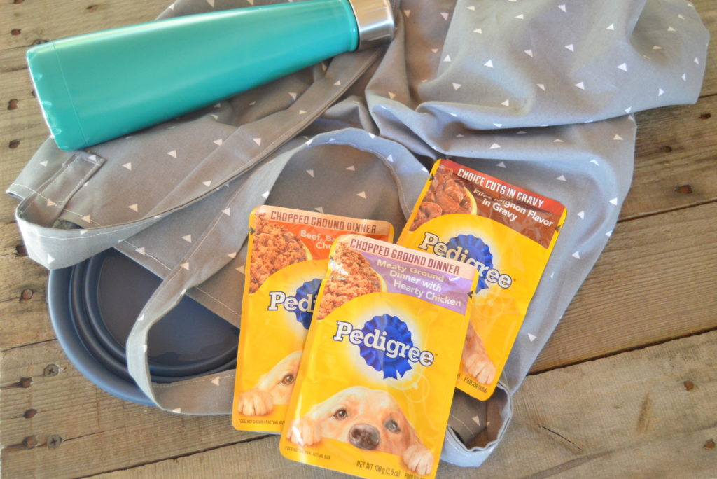 How to Make an On the Go Bag for Your Dog #PedigreeMoment #ad | mybigfathappylife.com