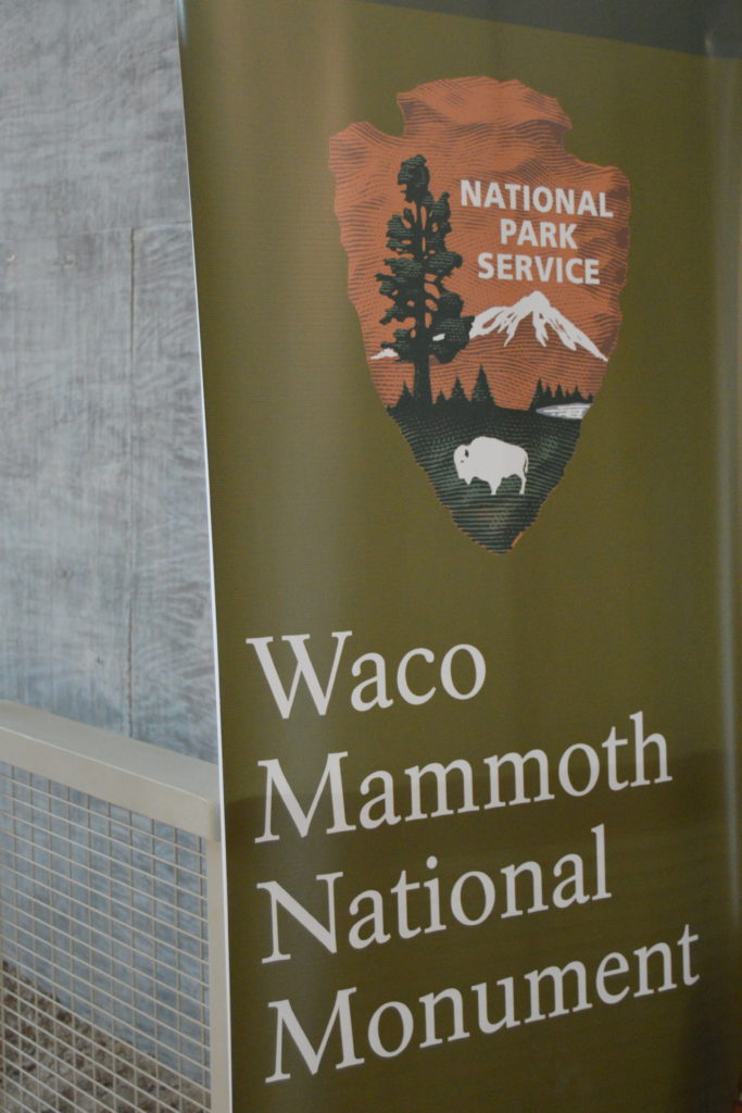 Waco Mammoth National Monument in Waco, Texas; things to do in Waco | mybigfathappylife.com