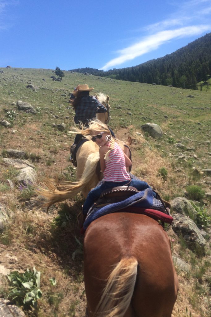 Horseback Ride Yellowstone