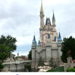 Tips for Surviving a Trip to Disney World in Summer