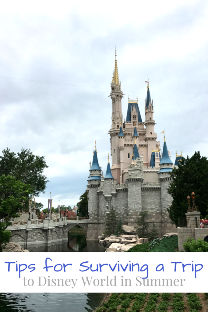 Tips for Surviving a Trip to Disney World in Summer