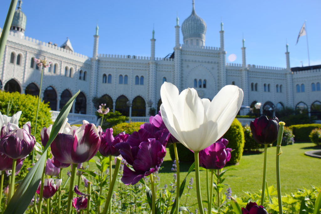 First Timers Guide: What to See and Do in Copenhagen, Denmark | mybigfathappylife.com