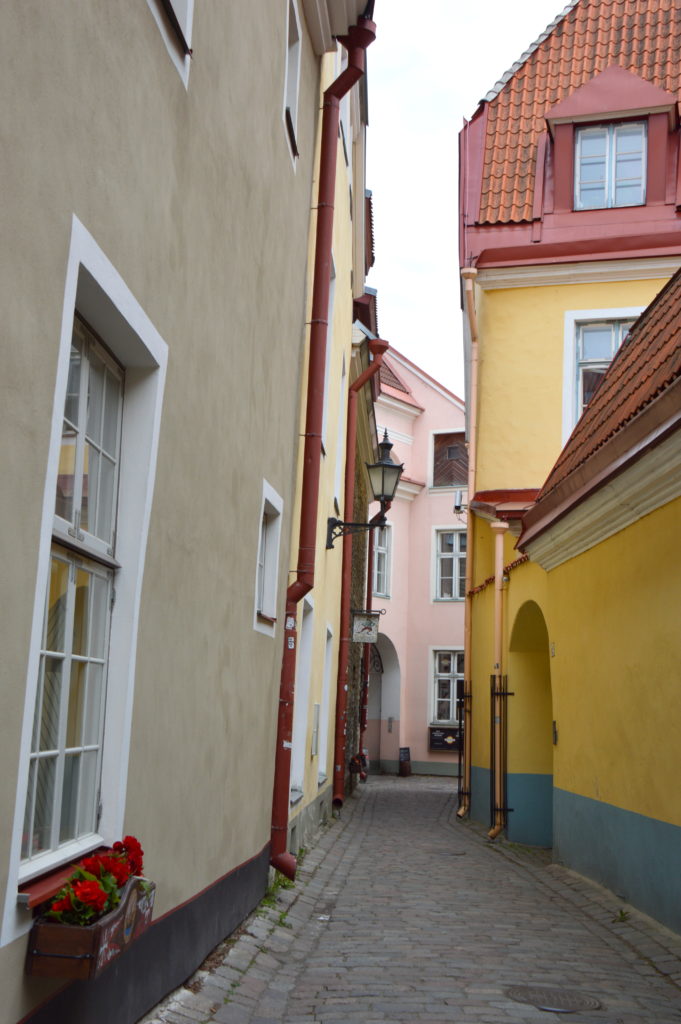 Cruise Port: Tallinn, Estonia in a Day, What to do in Tallinn, Estonia