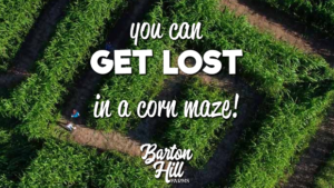 Barton Hill Farms Fall Festival and Corn Maze #ad | mybigfathappylife.com