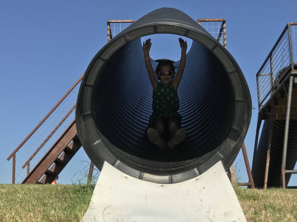 Barton Hill Farms Fall Festival and Corn Maze - Austin, TX | mybigfathappylife.com