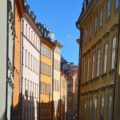 Cruise Port: Stockholm, Sweden; What to see and do in Stockholm | mybigfathappylife.com