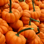 pumpkins